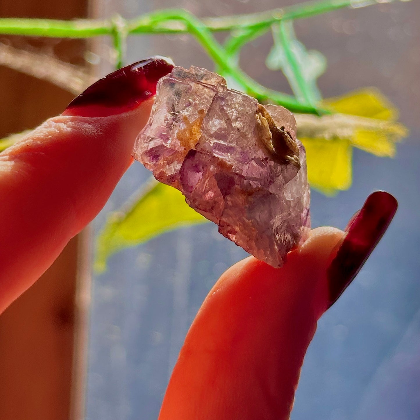 stalactitic UV cubic fluorite cluster specimen ~ choose your own