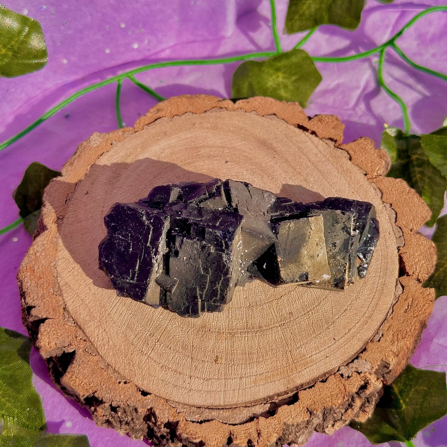 Spécimen de grappe cubique de fluorine rose noire UV