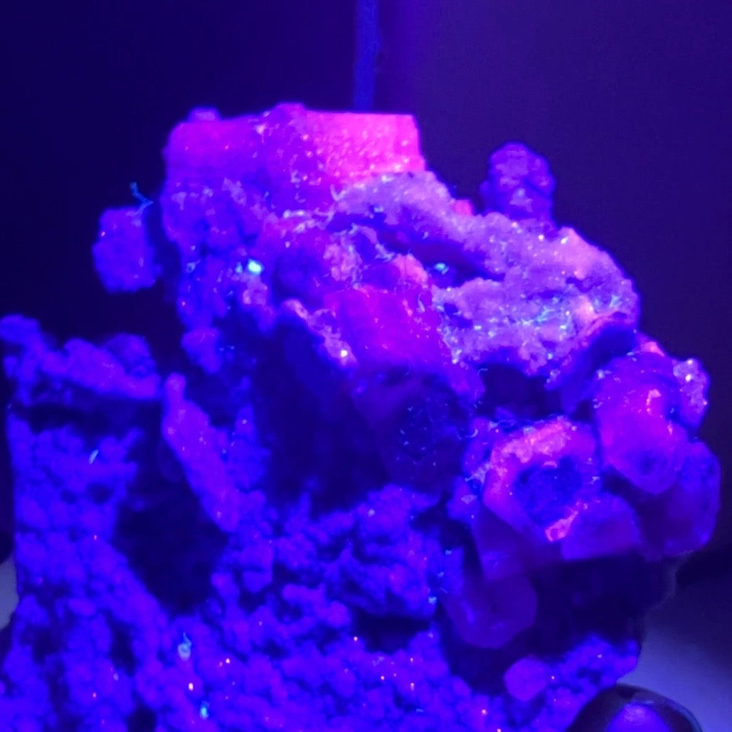 calcite colonnaire UV sur spécimen de quartz drusy D
