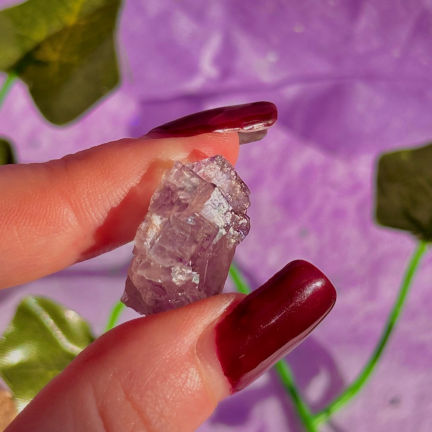 stalactitic UV cubic fluorite cluster specimen ~ choose your own