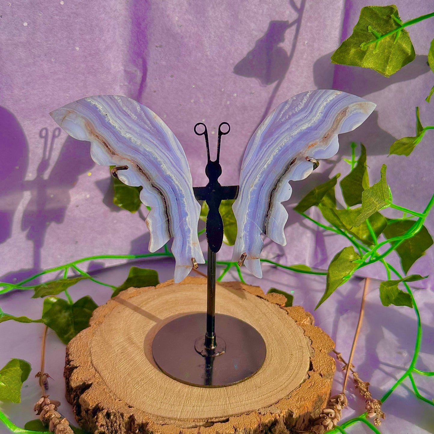 blue lace agate butterfly wings on stand B