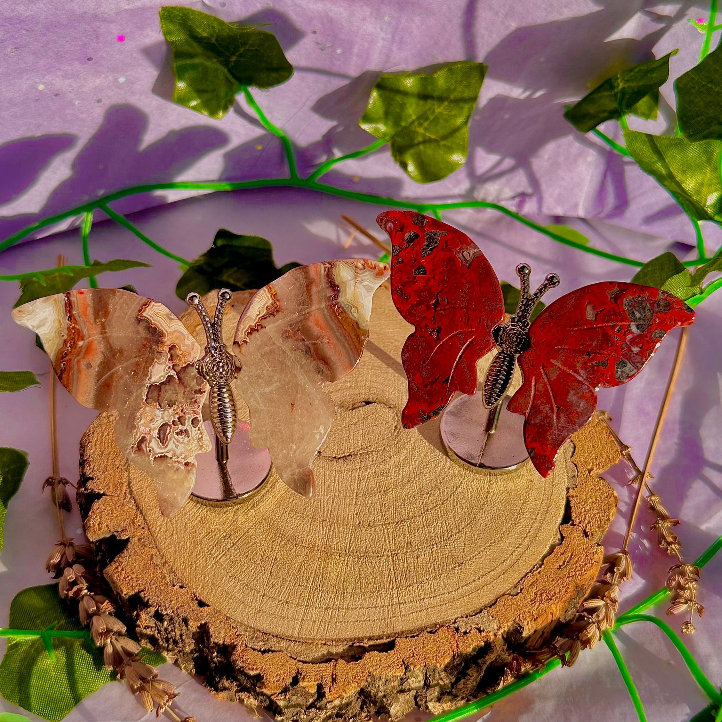 small butterfly wings on stand A ~ choose your own