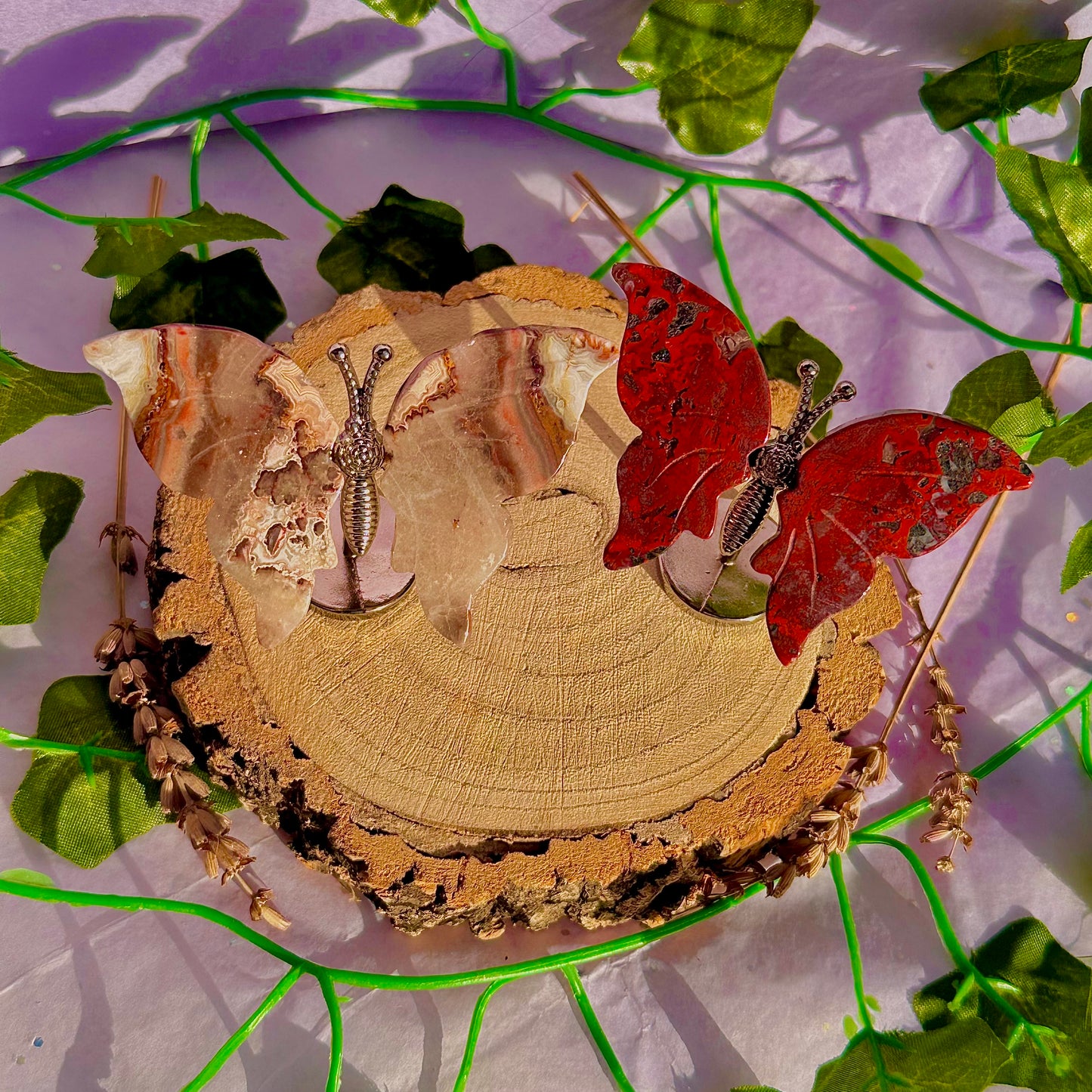 small butterfly wings on stand A ~ choose your own