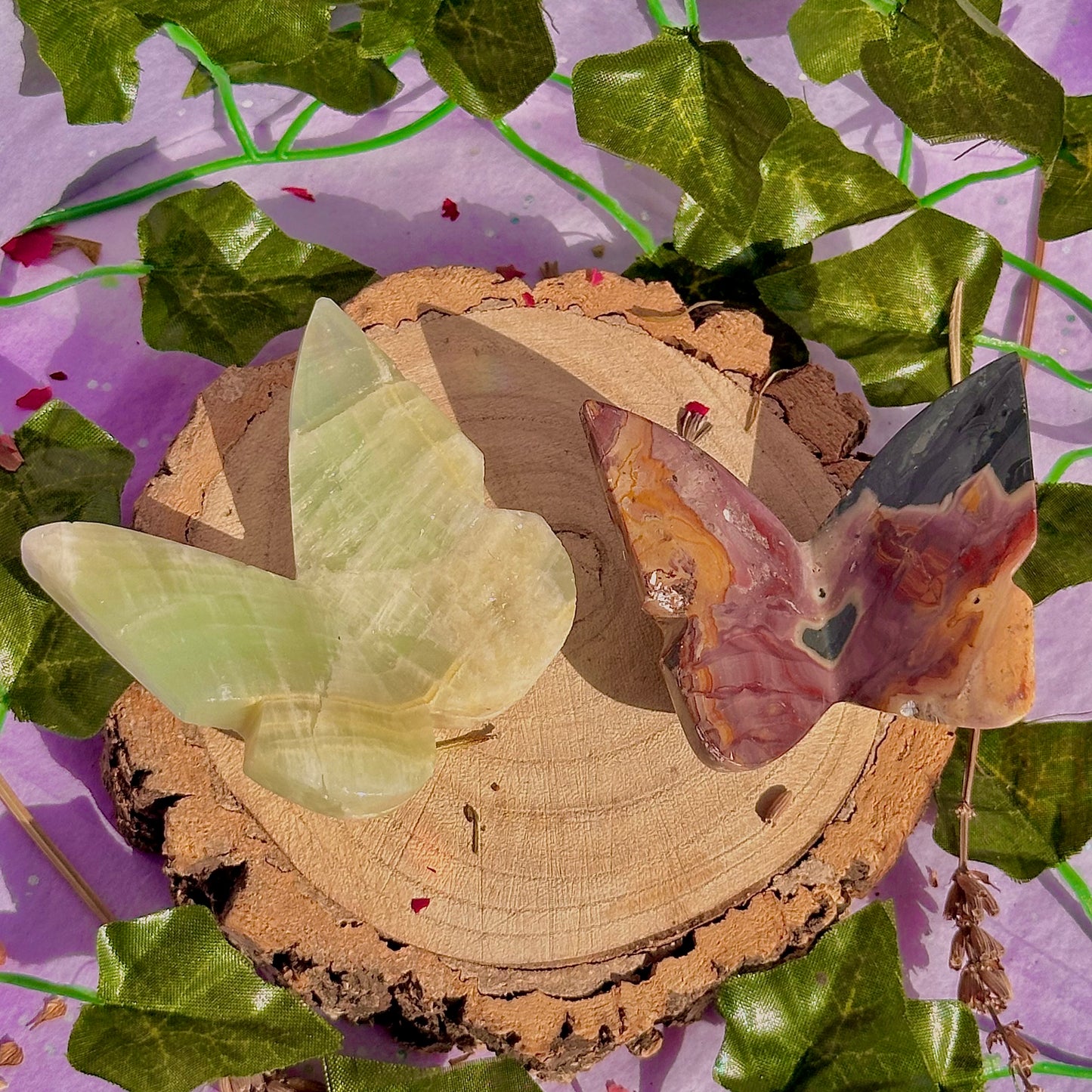 butterfly carving garden 3 ~ choose your own
