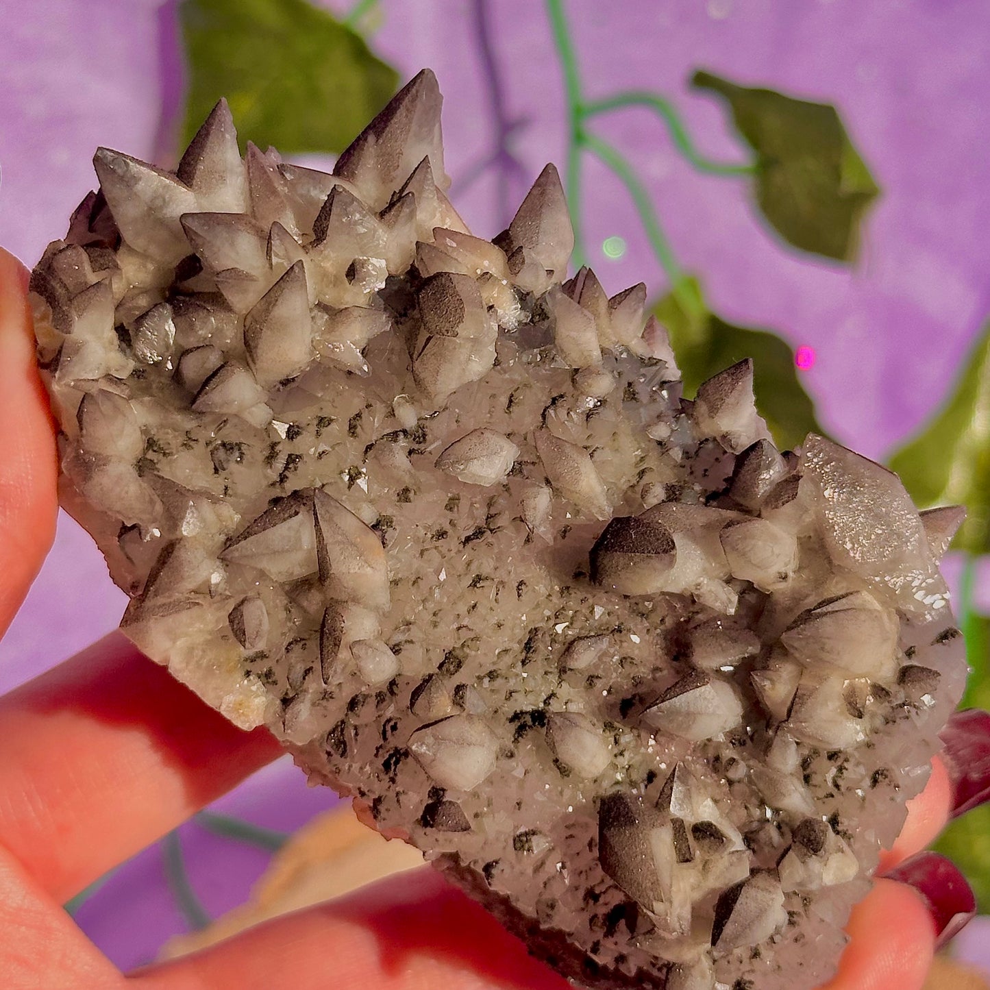 tigers tooth / dogs tooth calcite cluster specimen