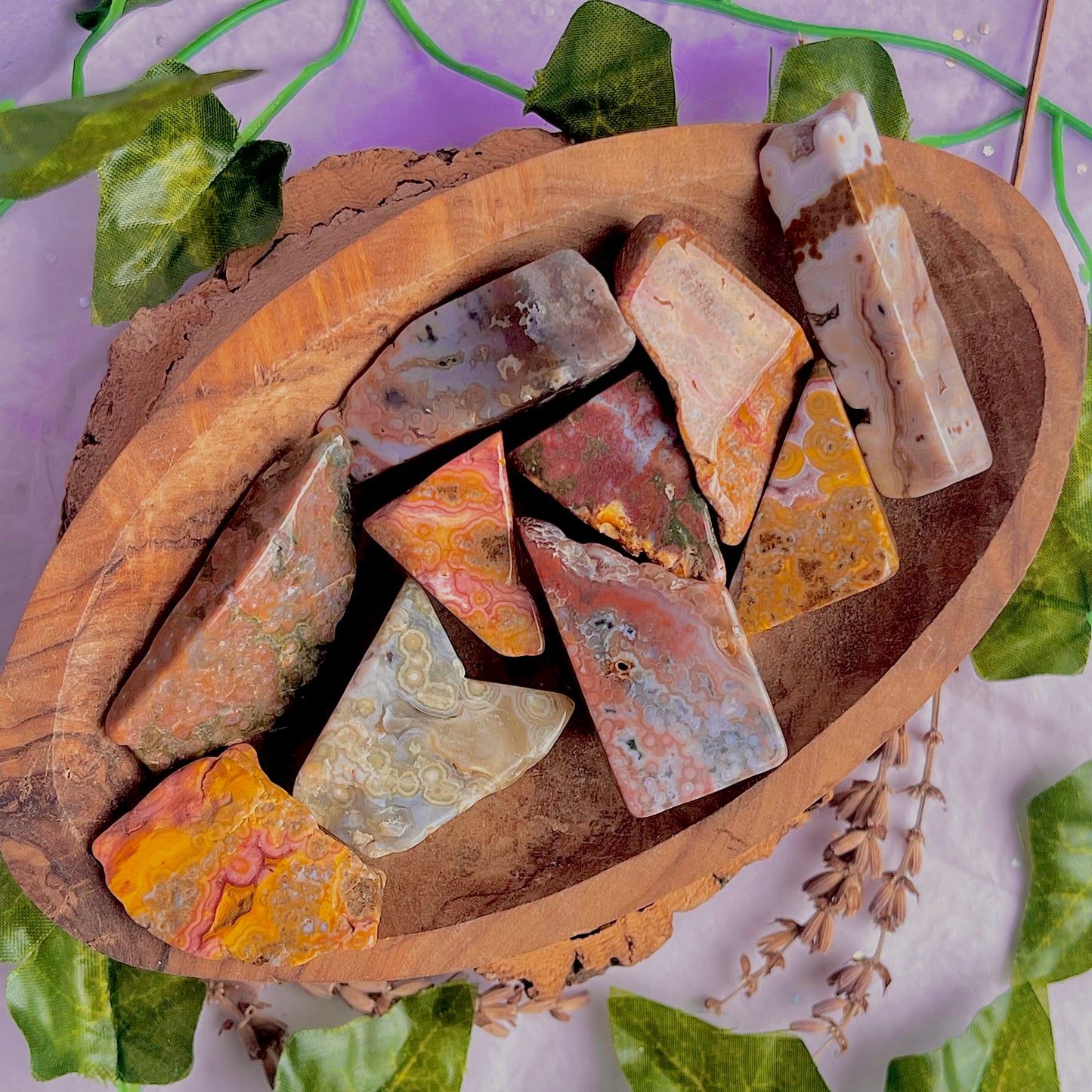 8th vein jasper freeform pieces ~ medium