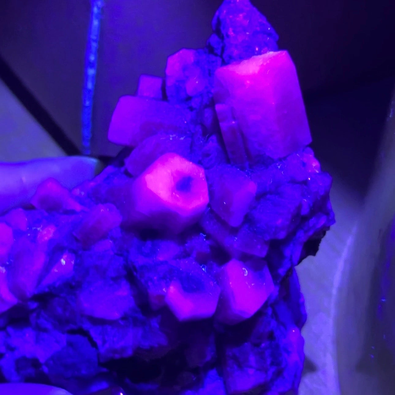calcite colonnaire UV sur spécimen de quartz drusique B