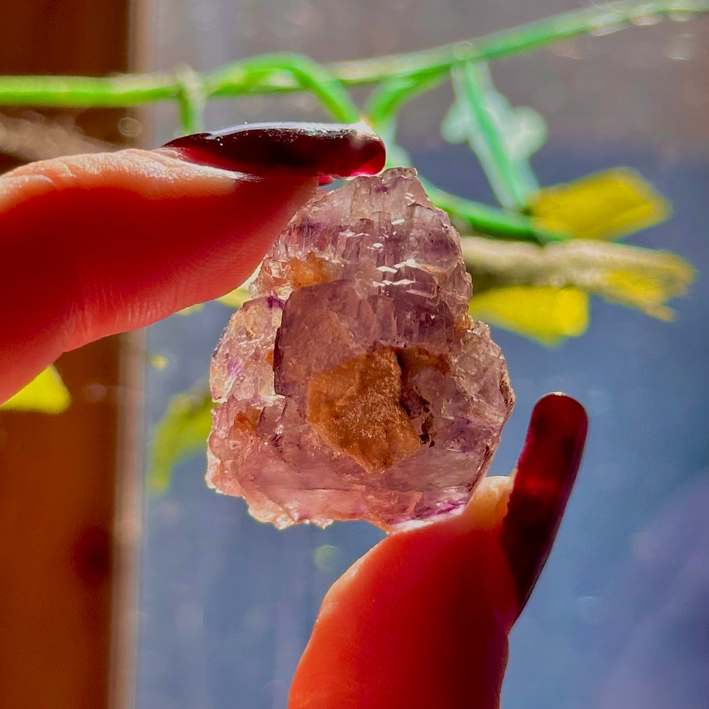 stalactitic UV cubic fluorite cluster specimen ~ choose your own