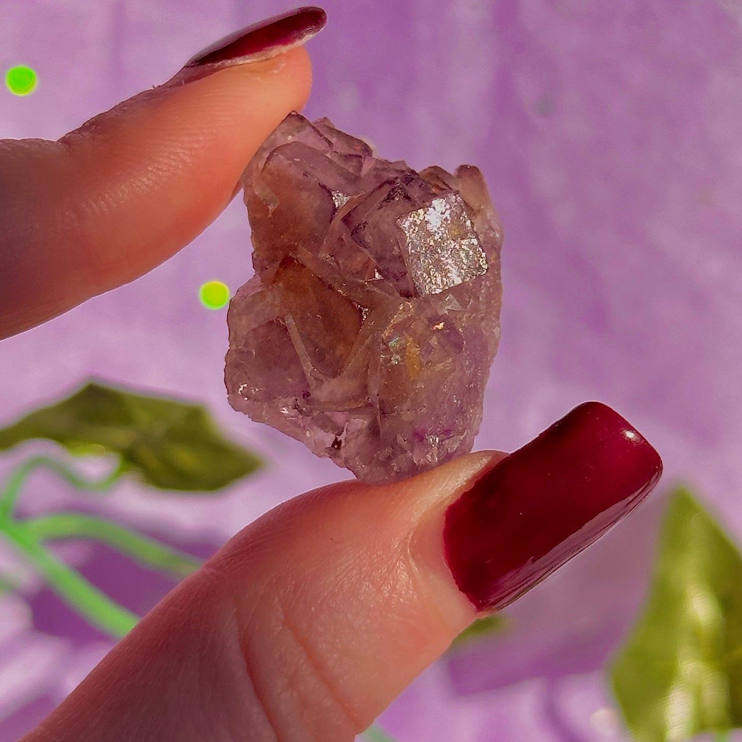 stalactitic UV cubic fluorite cluster specimen ~ choose your own