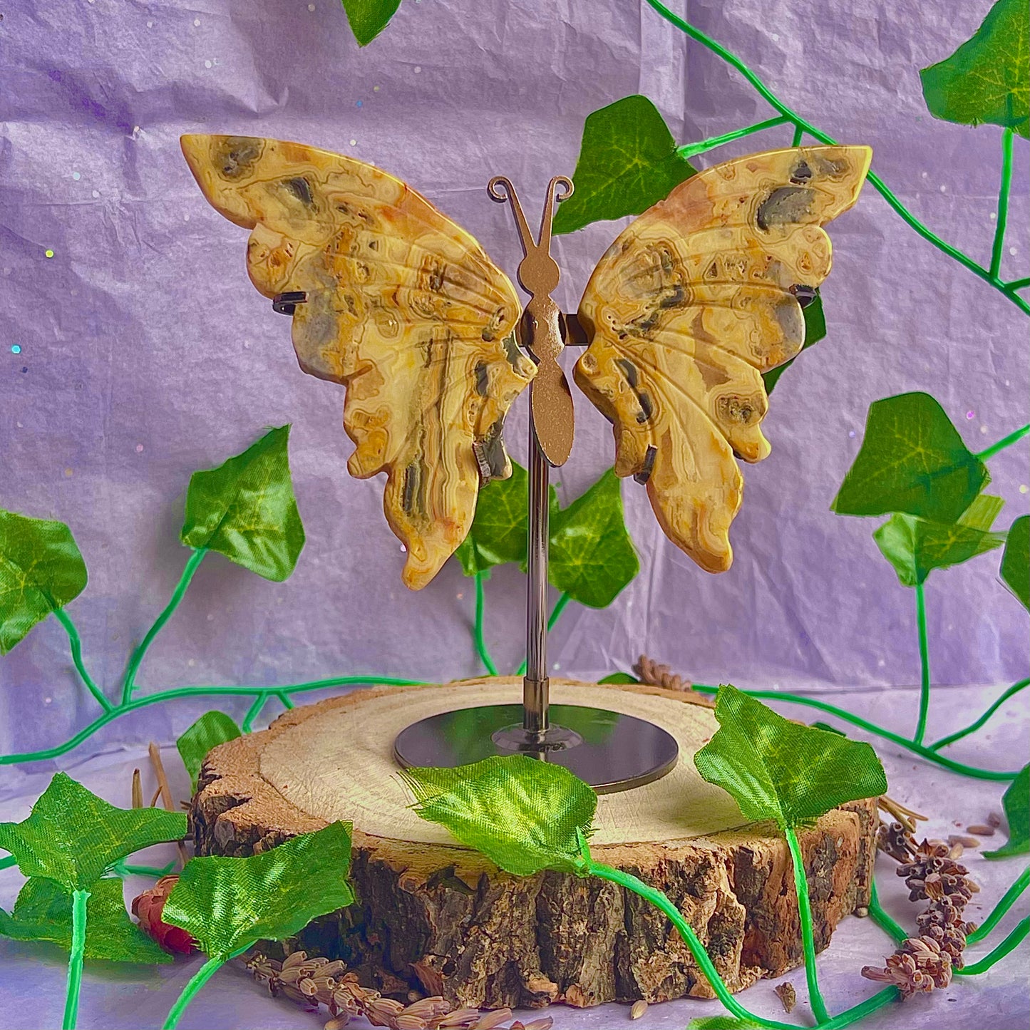 crazy lace agate butterfly wings on stand