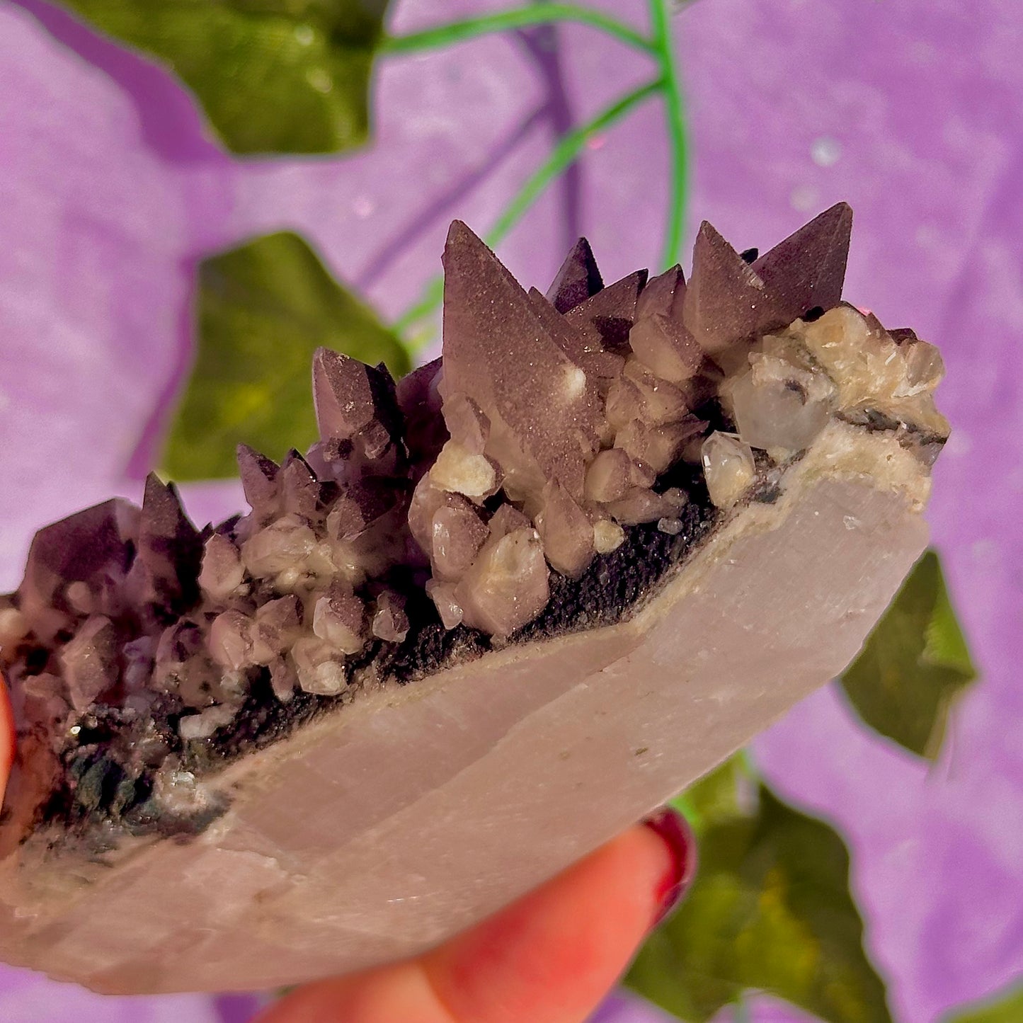 tigers tooth / dogs tooth calcite cluster specimen