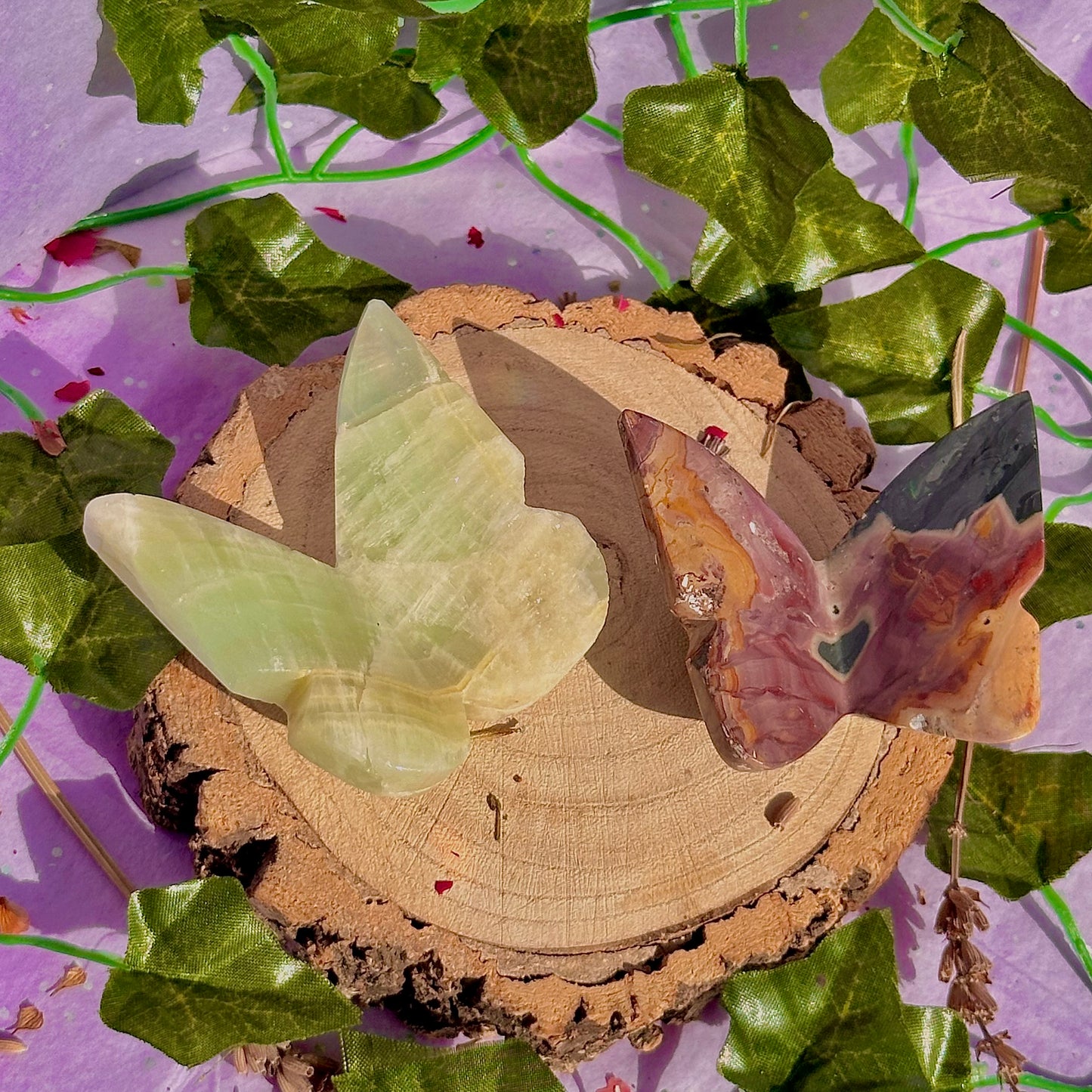 butterfly carving garden 3 ~ choose your own