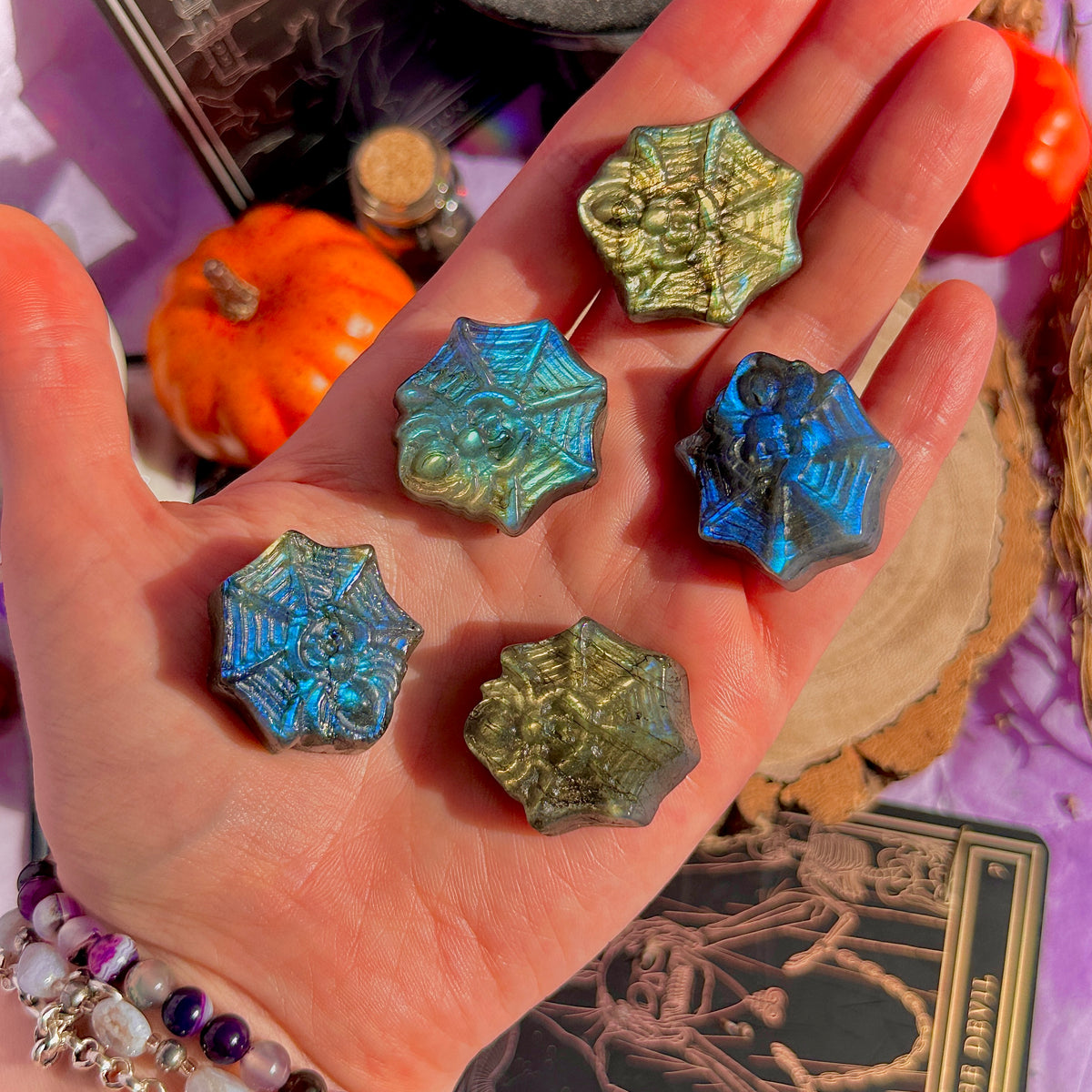 labradorite mini spider with carving ~ intuitively chosen