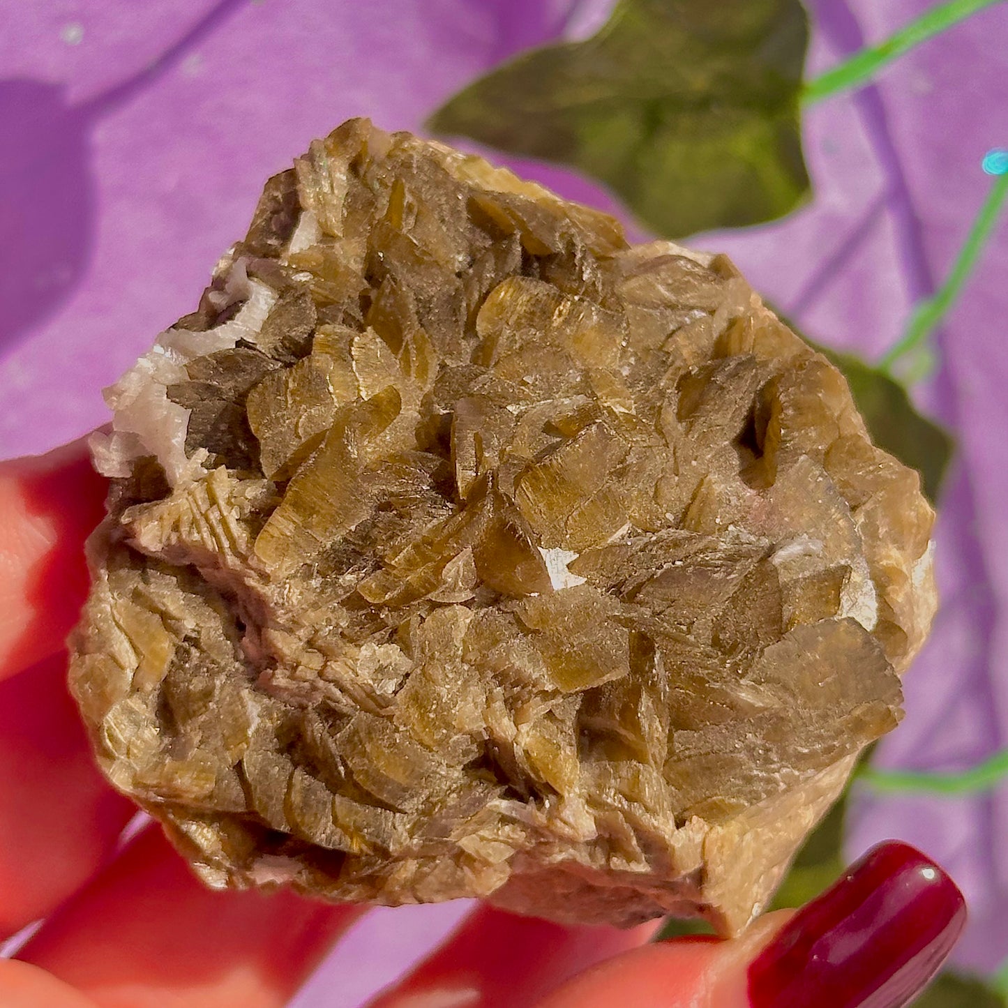 bladed siderite dragon scale cluster specimen