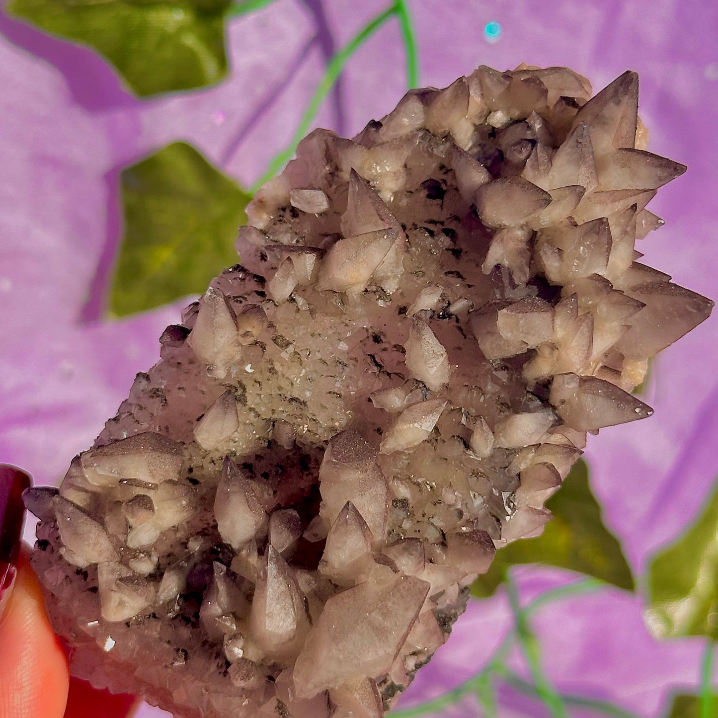 tigers tooth / dogs tooth calcite cluster specimen