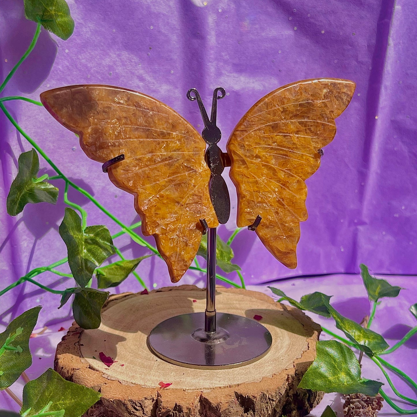 golden healer butterfly wings on stand