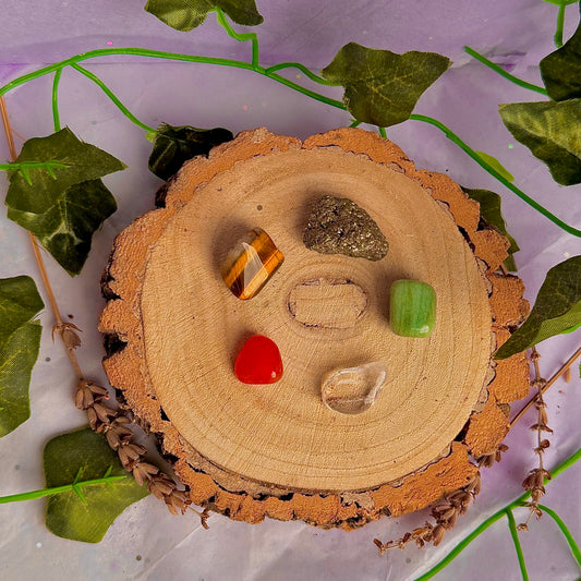 securing abundance bundle