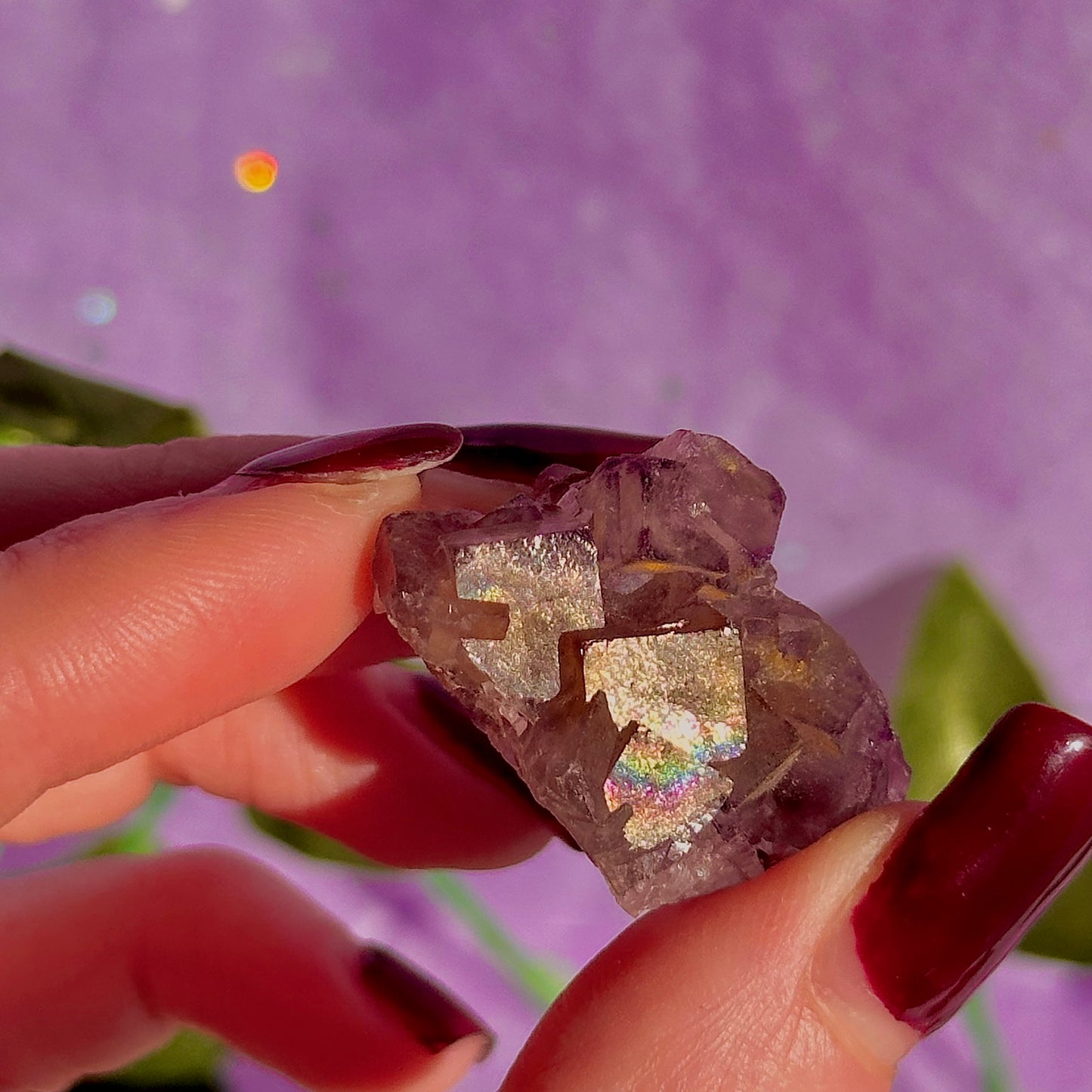 stalactitic UV cubic fluorite cluster specimen ~ choose your own