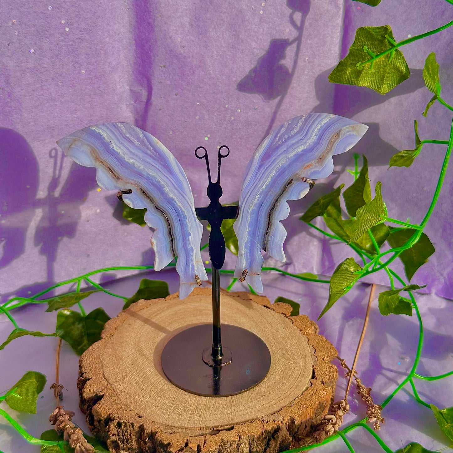 blue lace agate butterfly wings on stand B