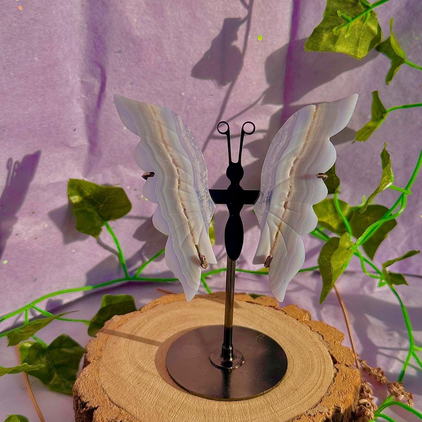 blue lace agate butterfly wings on stand A