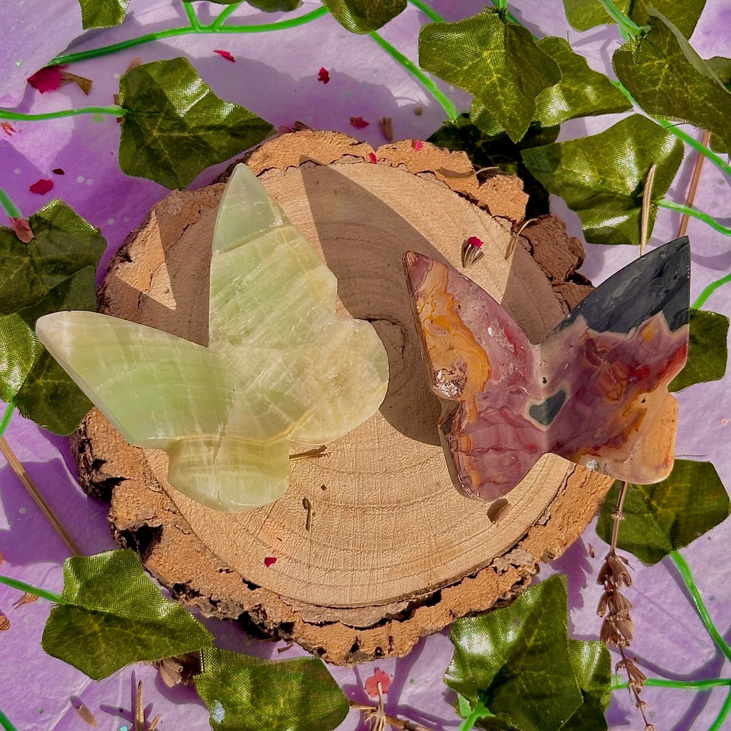 butterfly carving garden 3 ~ choose your own