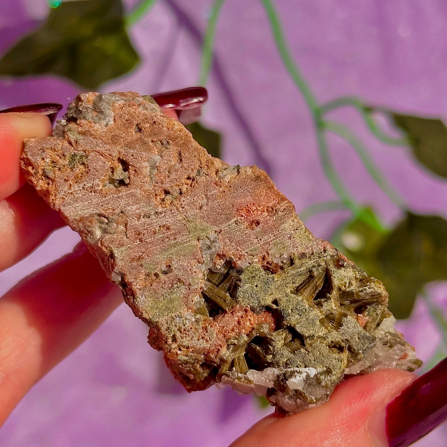 spécimen d'épidote de forêt avec quartz et grenat