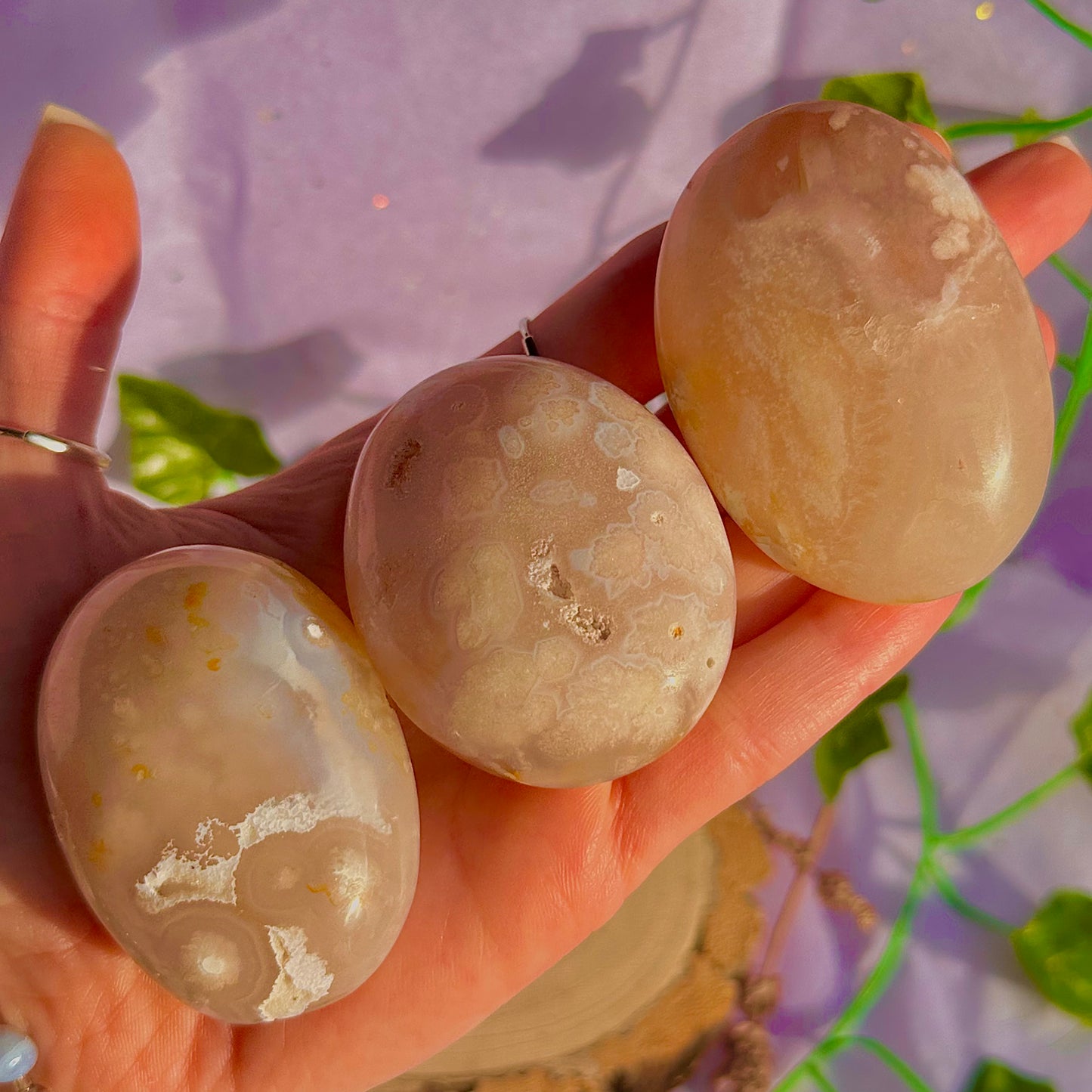 flower agate palm stone ~ intuitively chosen
