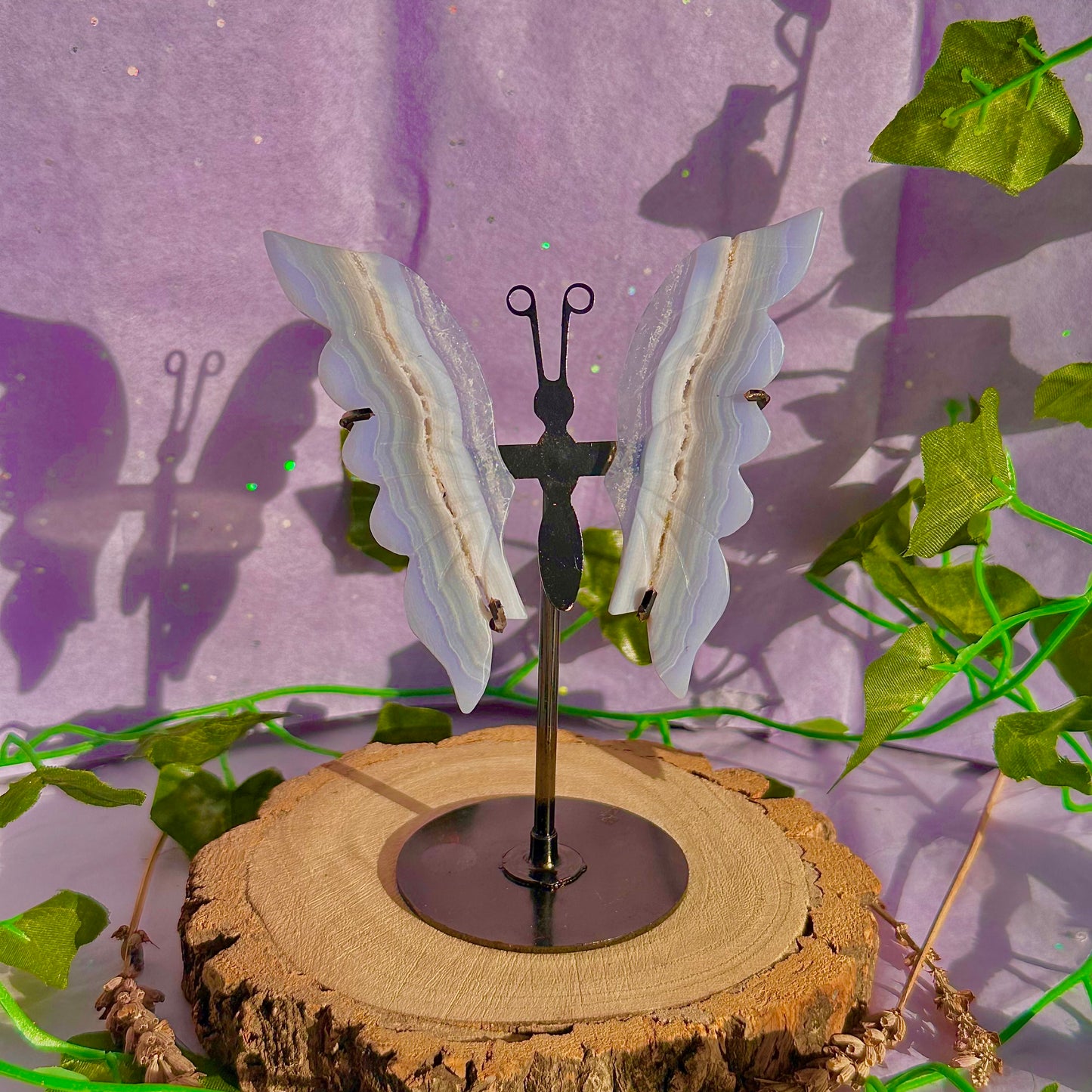 blue lace agate butterfly wings on stand A