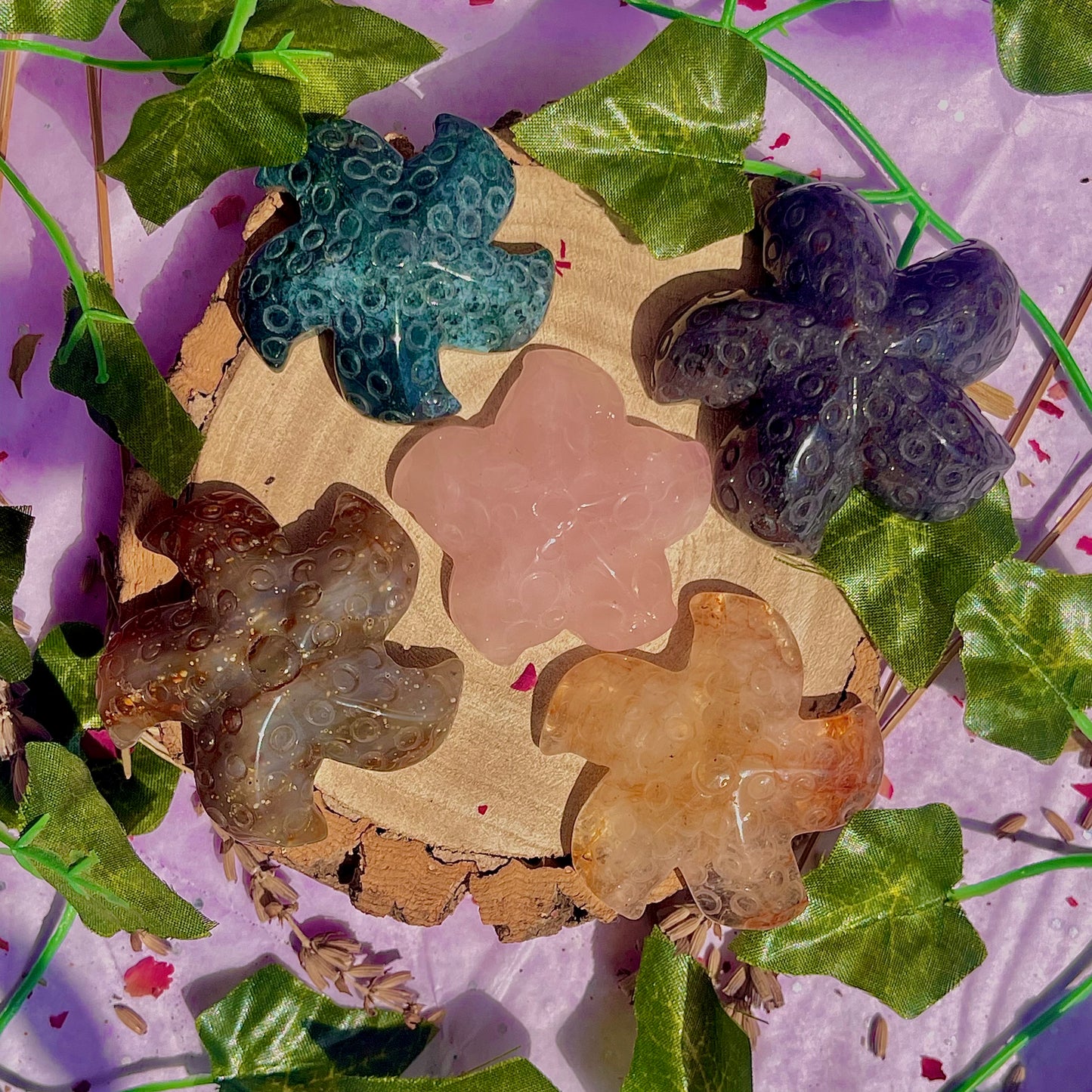 mixed starfish carvings ~ choose your own