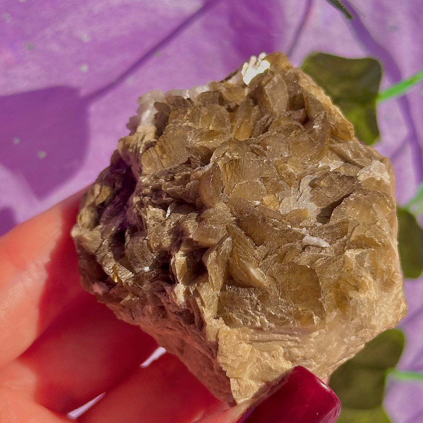 bladed siderite dragon scale cluster specimen