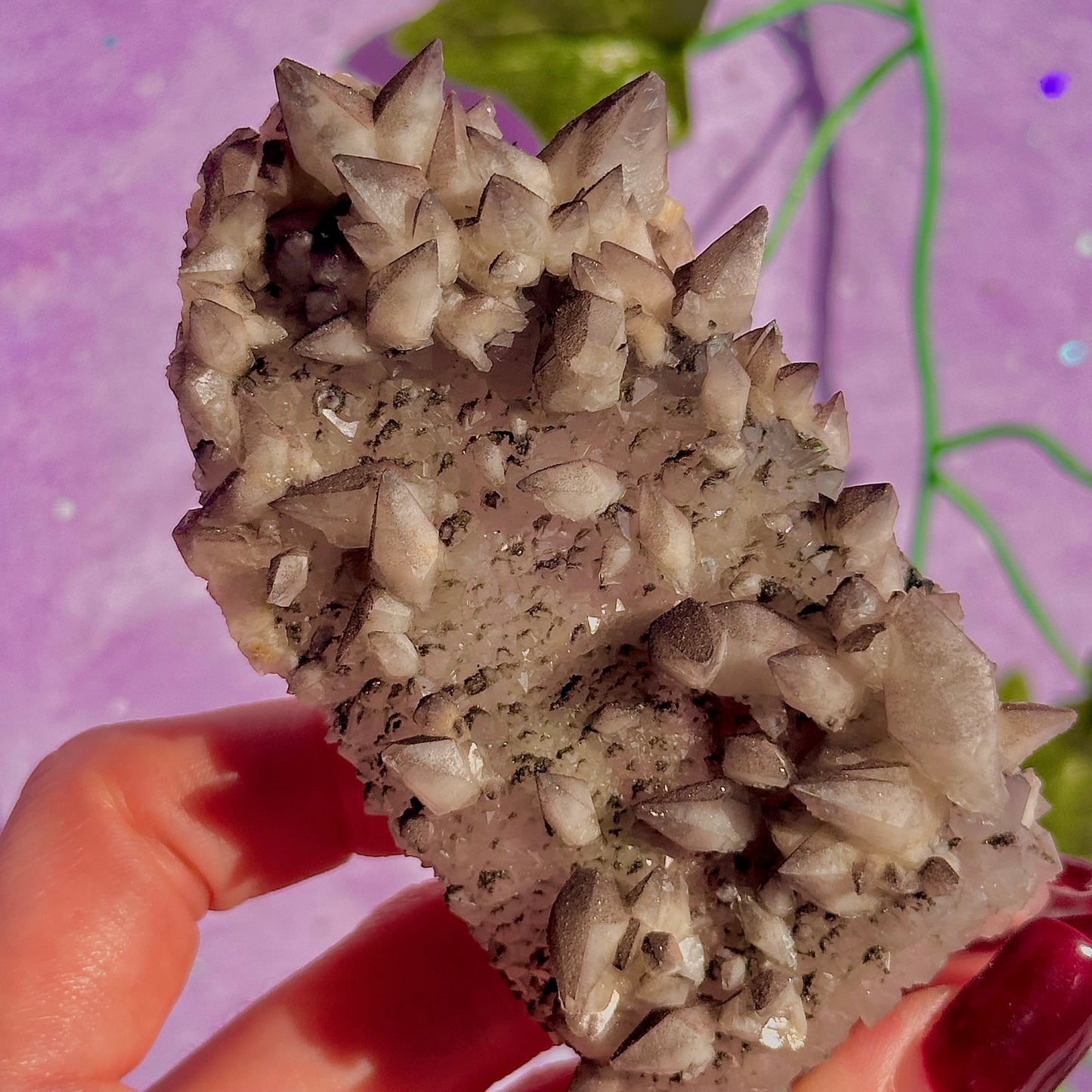 tigers tooth / dogs tooth calcite cluster specimen