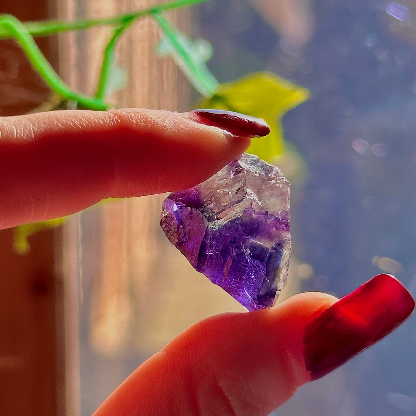 stalactitic UV cubic fluorite cluster specimen ~ choose your own