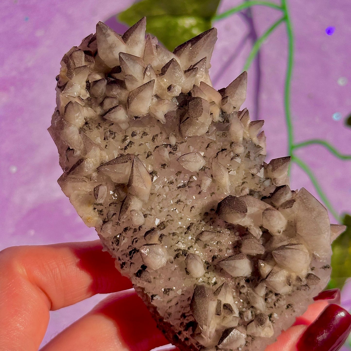 tigers tooth / dogs tooth calcite cluster specimen