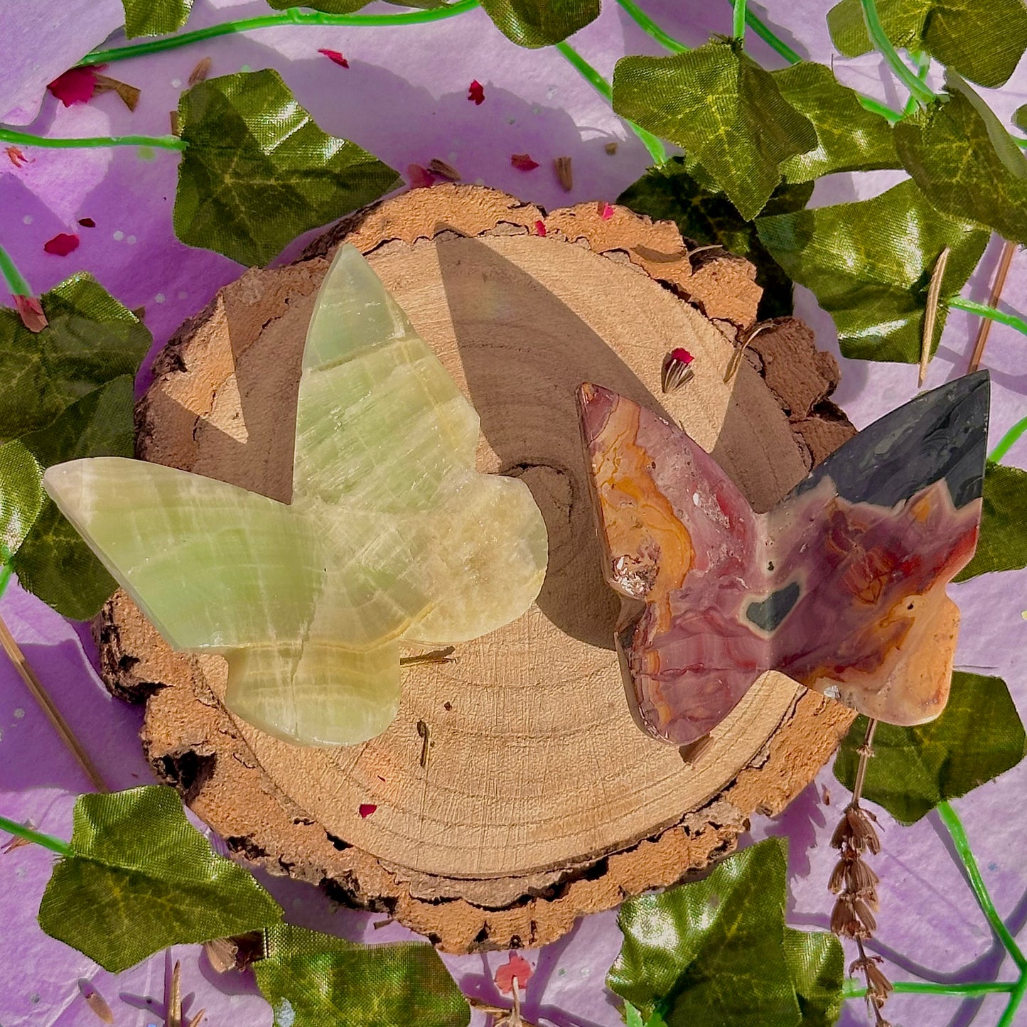 butterfly carving garden 3 ~ choose your own