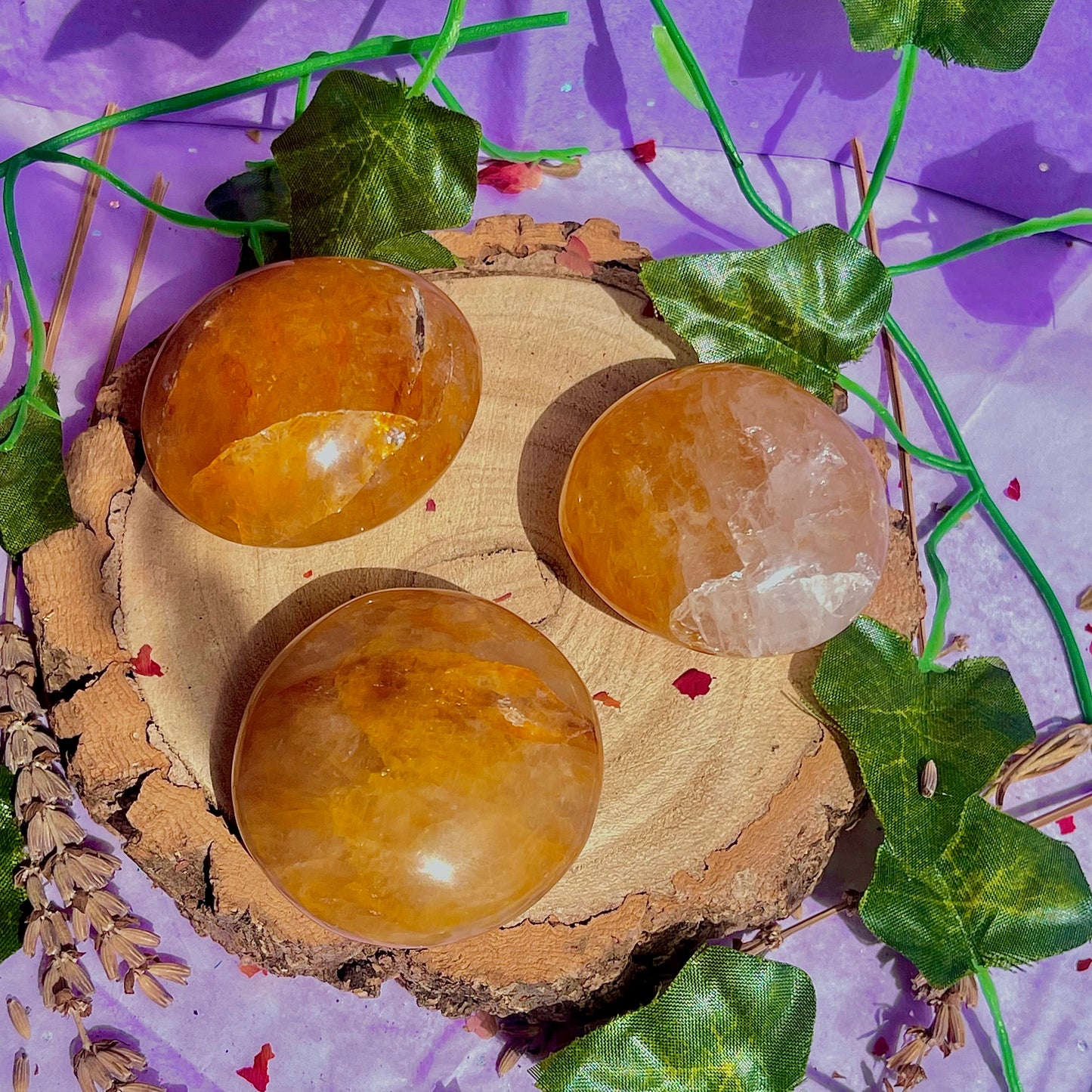 golden healer palm stones ~ intuitively chosen