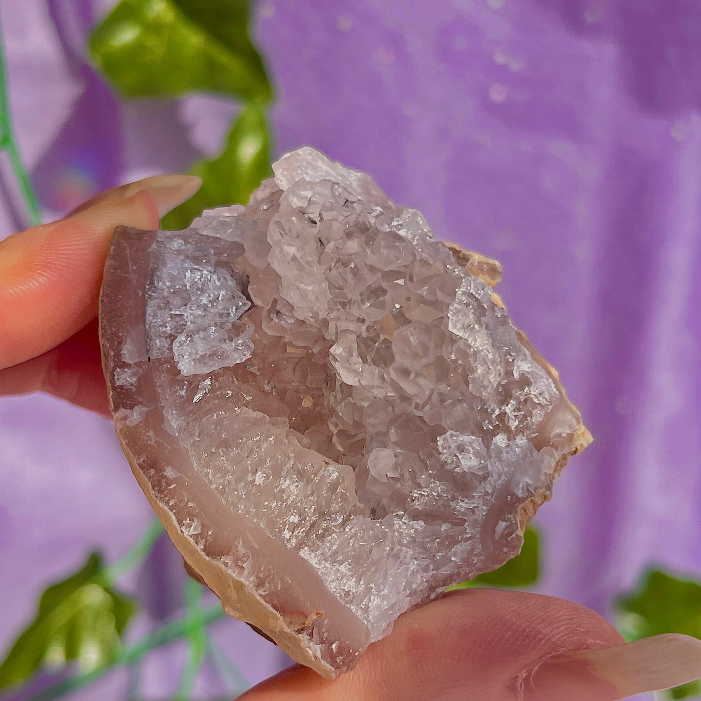 druzy agate geodes D1-5