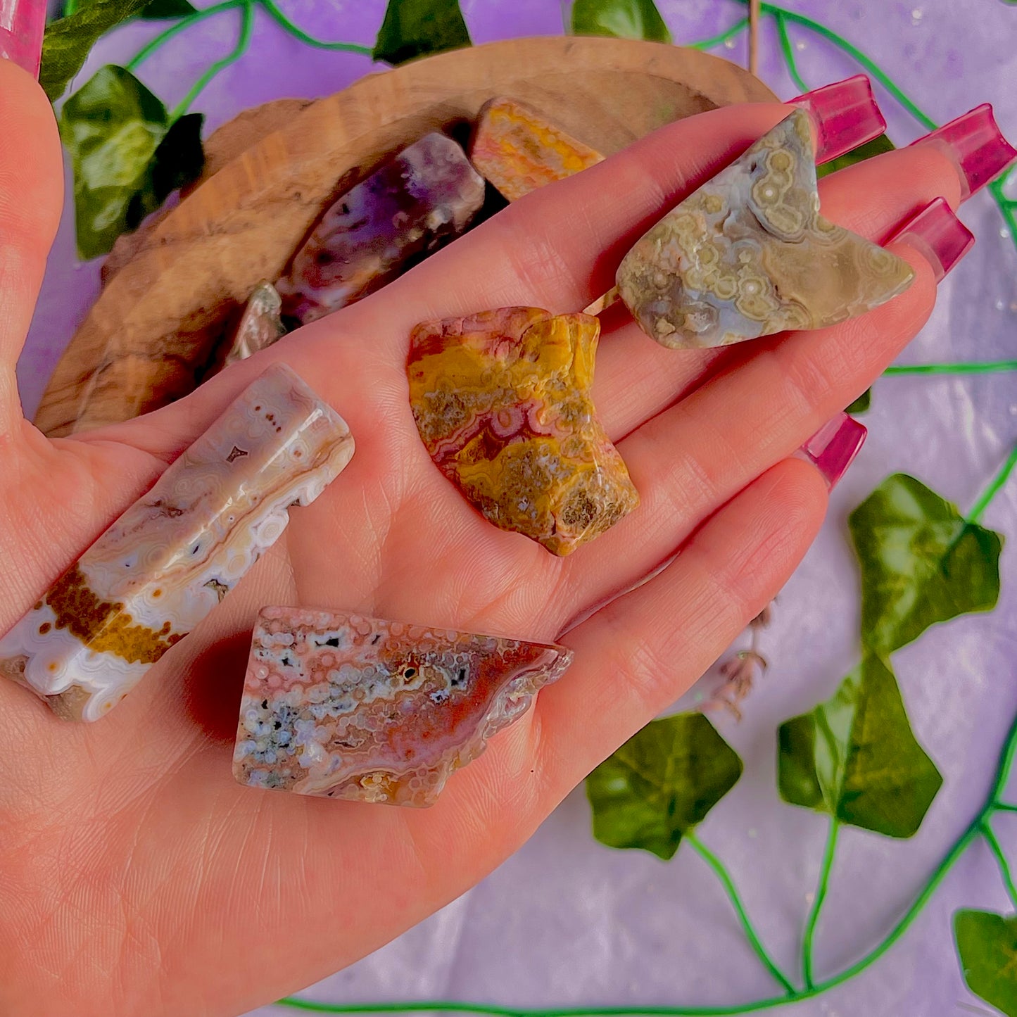 8th vein jasper freeform pieces ~ medium
