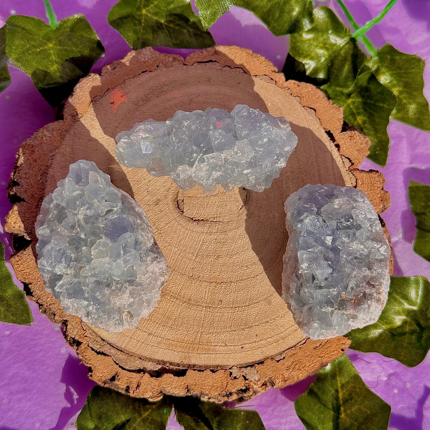 spécimen de grappe de célestine C