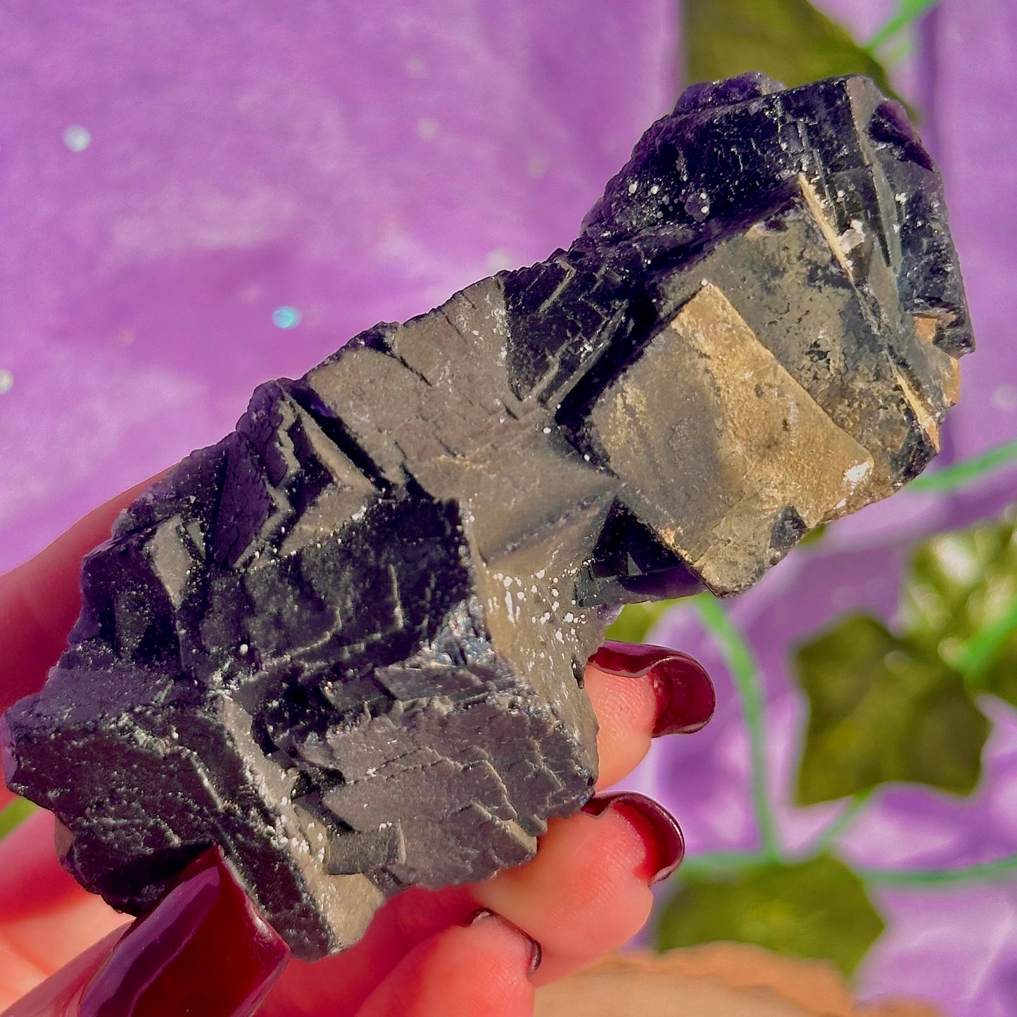Spécimen de grappe cubique de fluorine rose noire UV