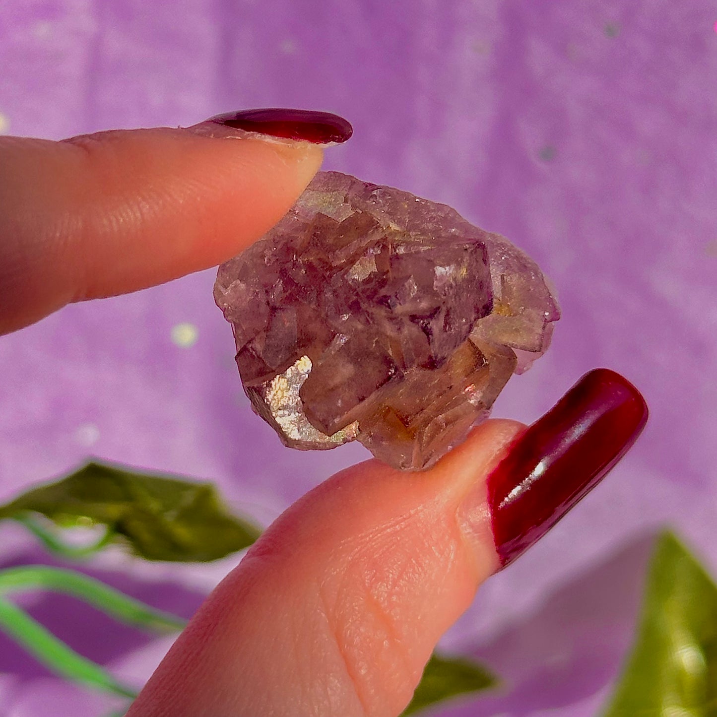 stalactitic UV cubic fluorite cluster specimen ~ choose your own