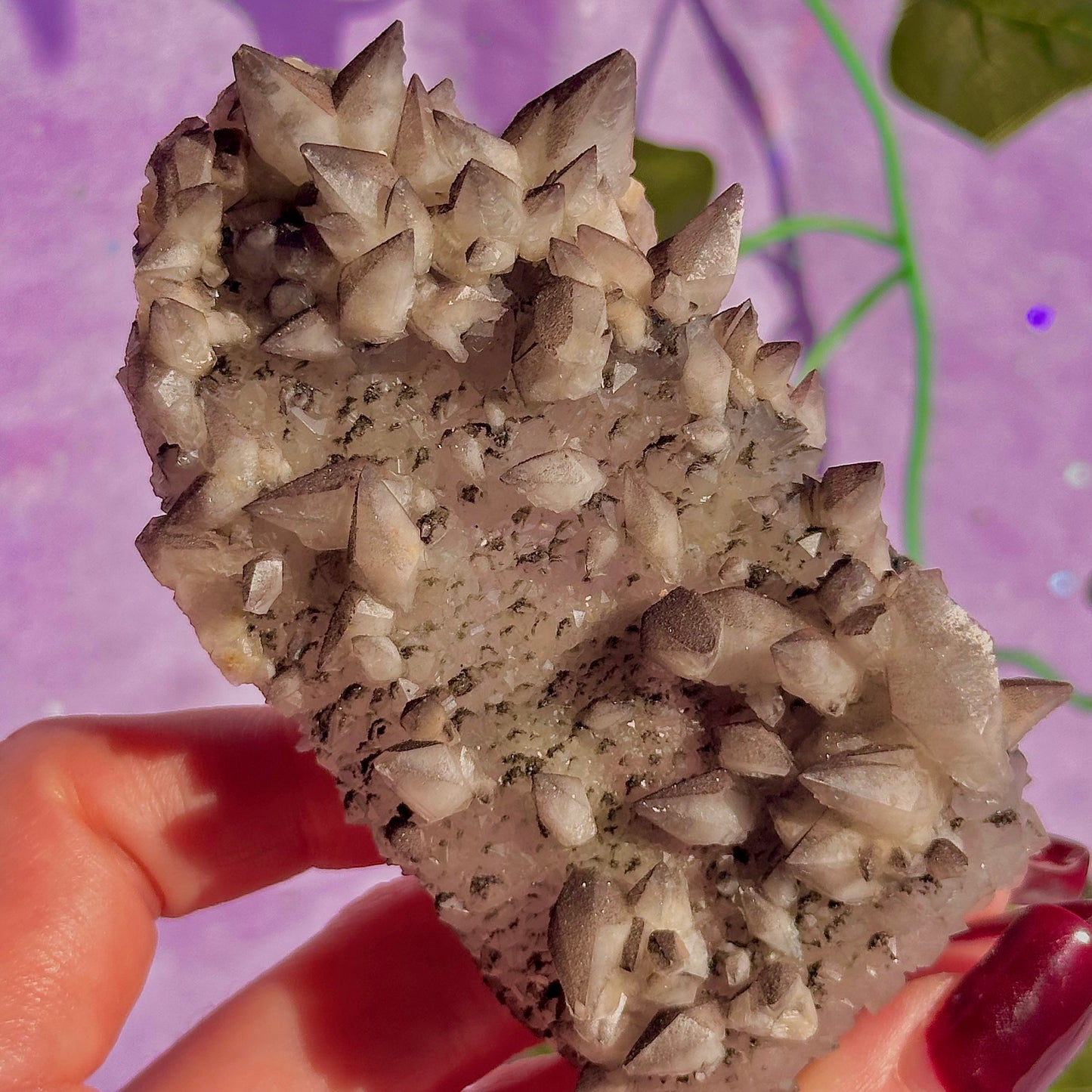 tigers tooth / dogs tooth calcite cluster specimen
