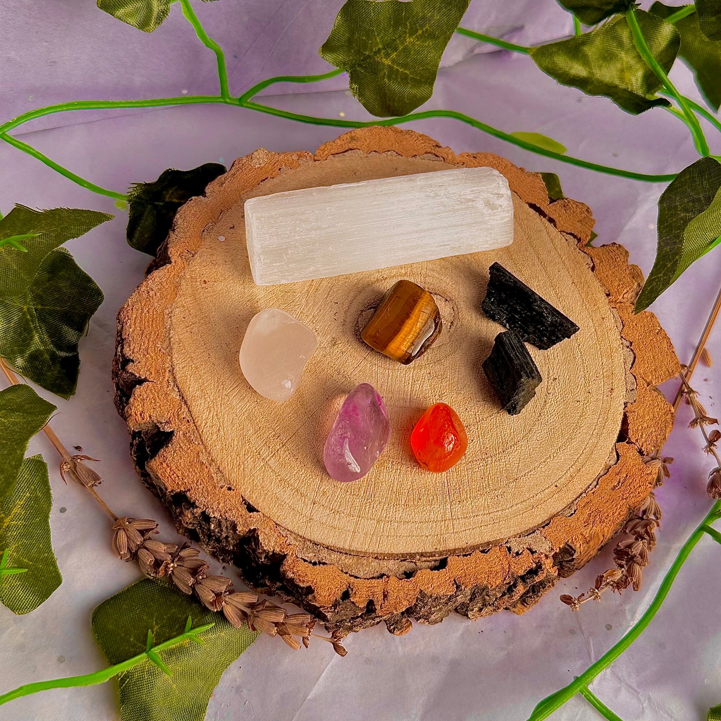 welcome newcomers bundle