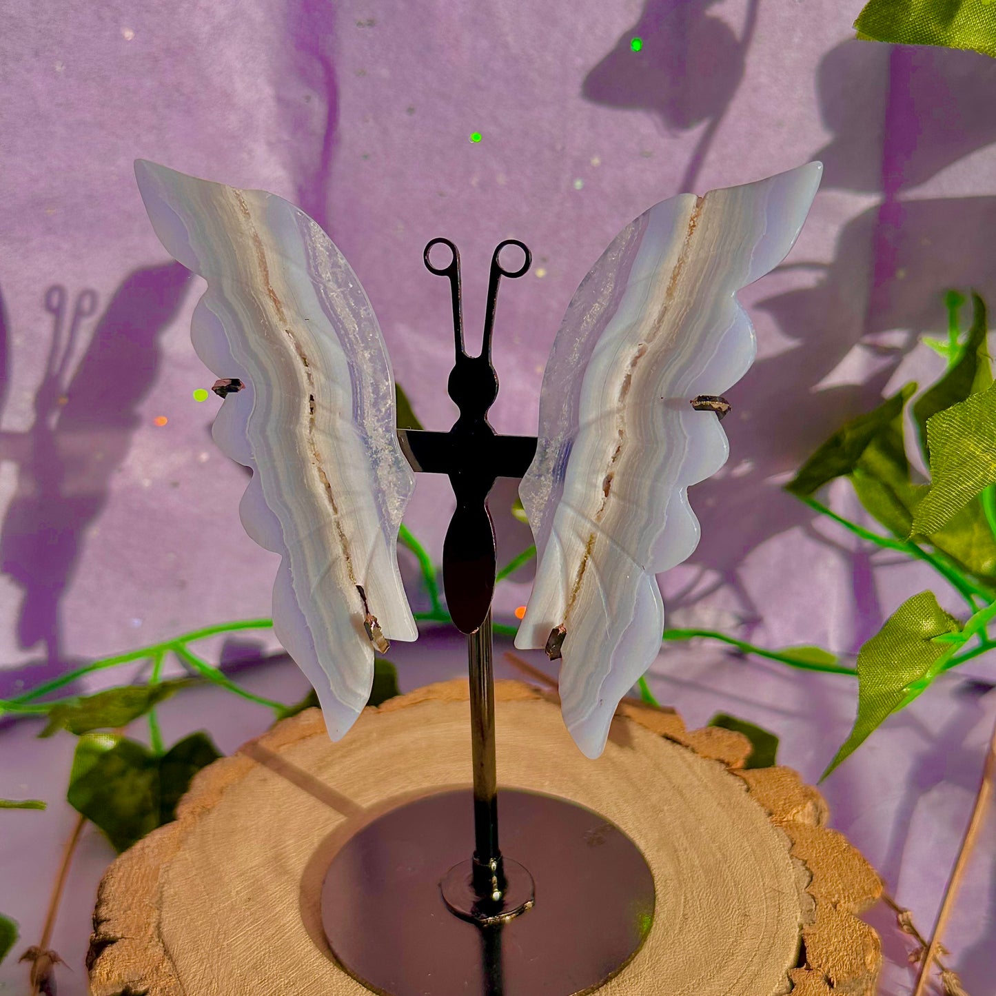 blue lace agate butterfly wings on stand A