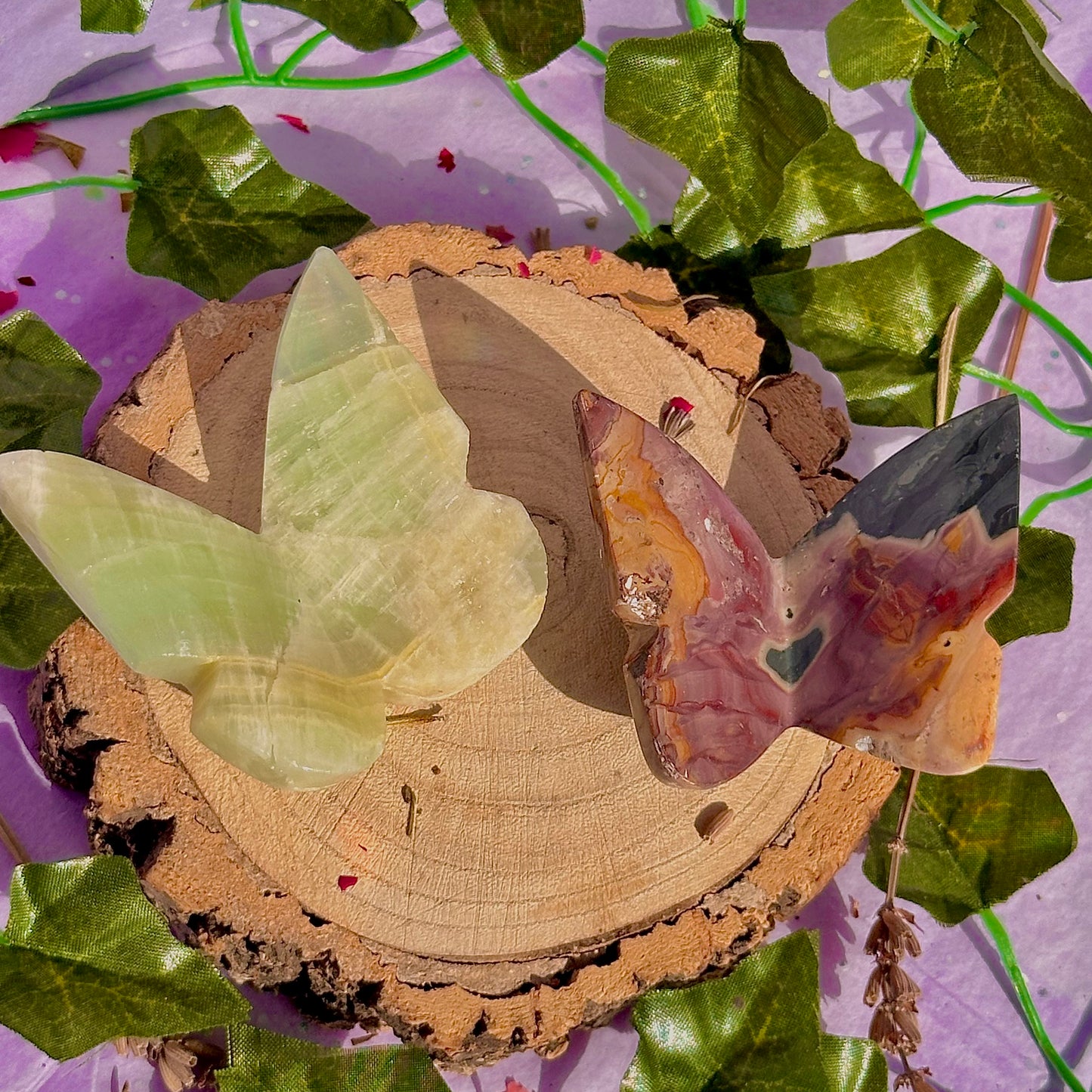 butterfly carving garden 3 ~ choose your own