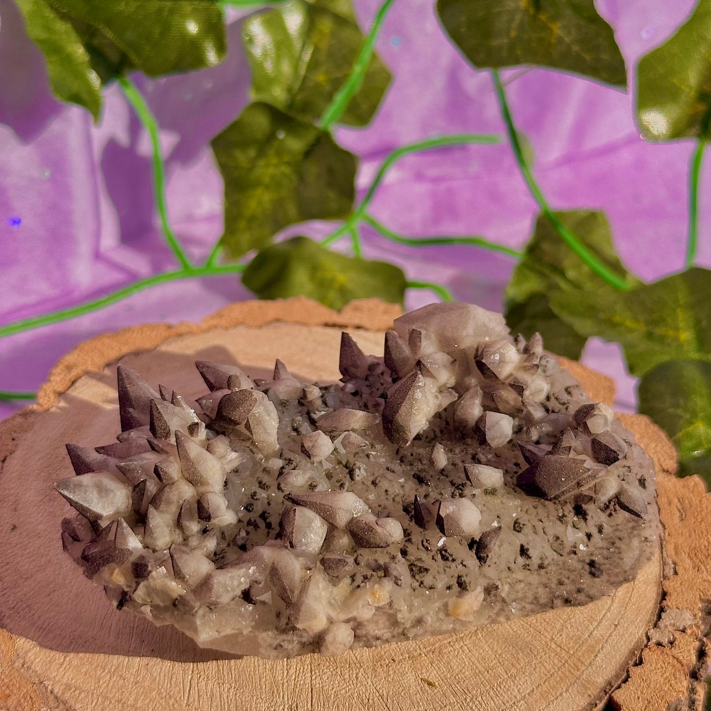 tigers tooth / dogs tooth calcite cluster specimen