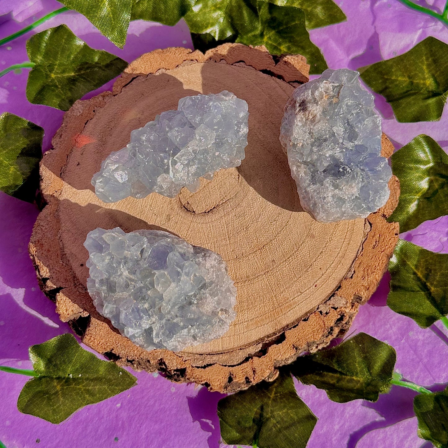 Spécimen d'amas de célestite A