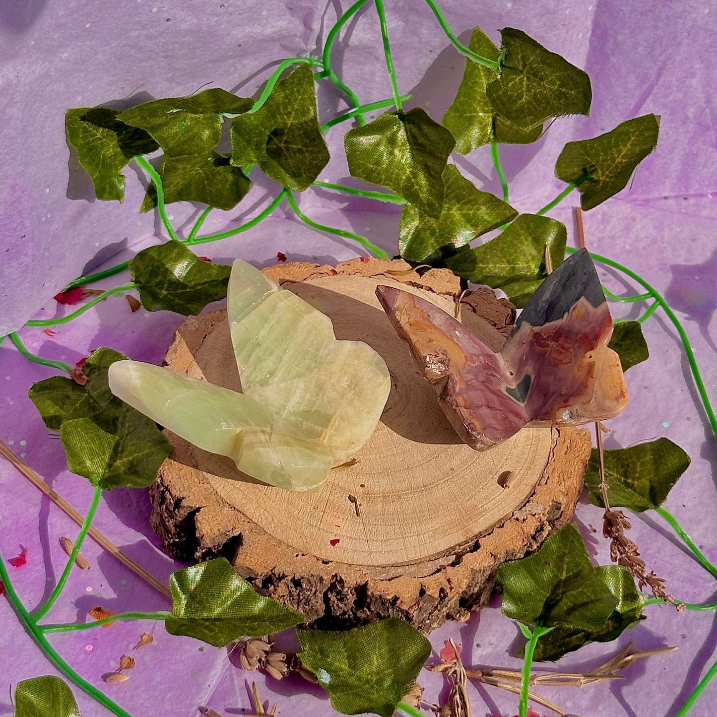 butterfly carving garden 3 ~ choose your own