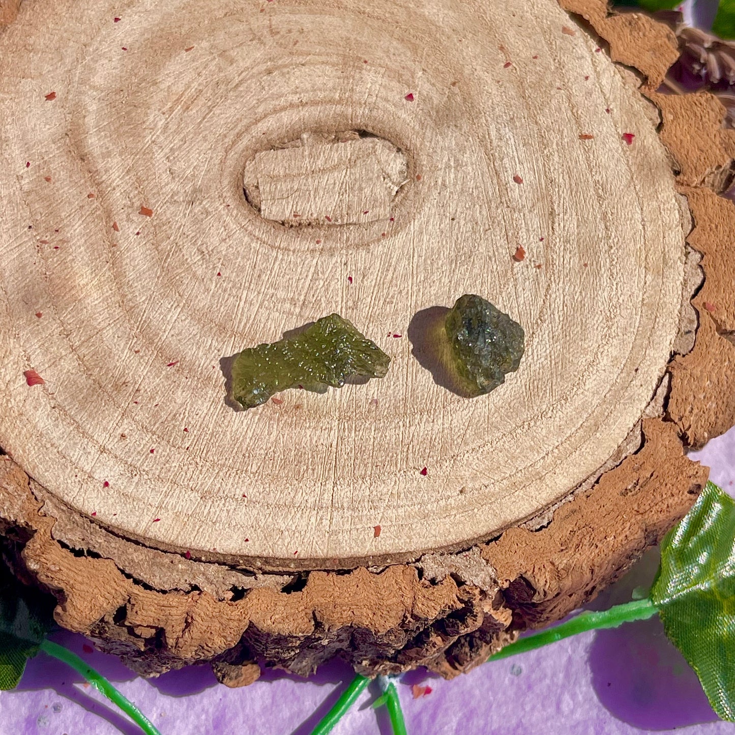 moldavite specimens ~ choose your own
