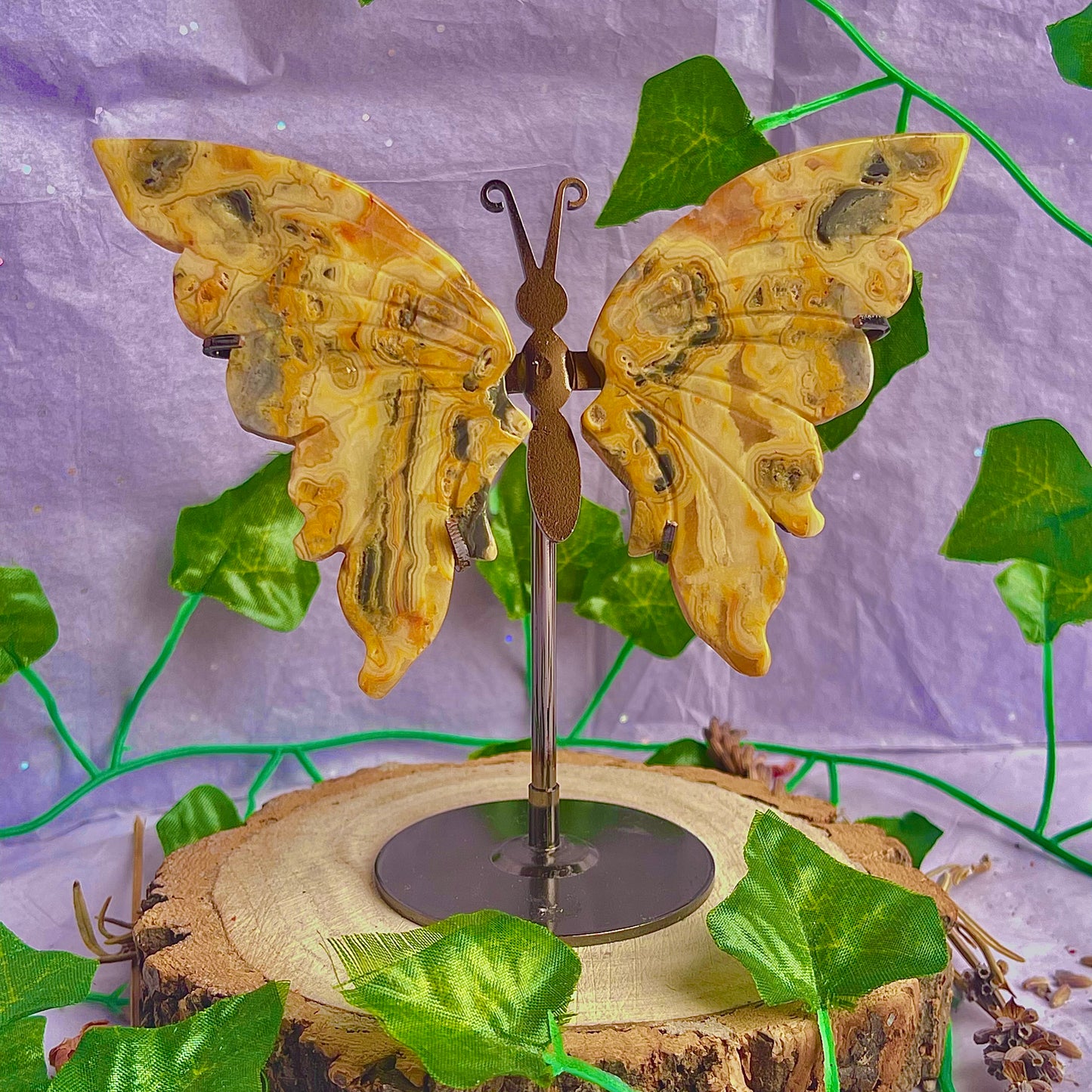 crazy lace agate butterfly wings on stand
