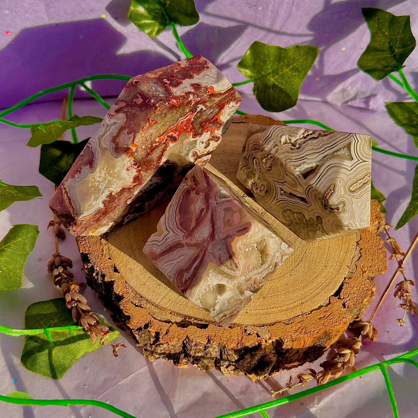 crazy lace agate freeform ~ choose your own